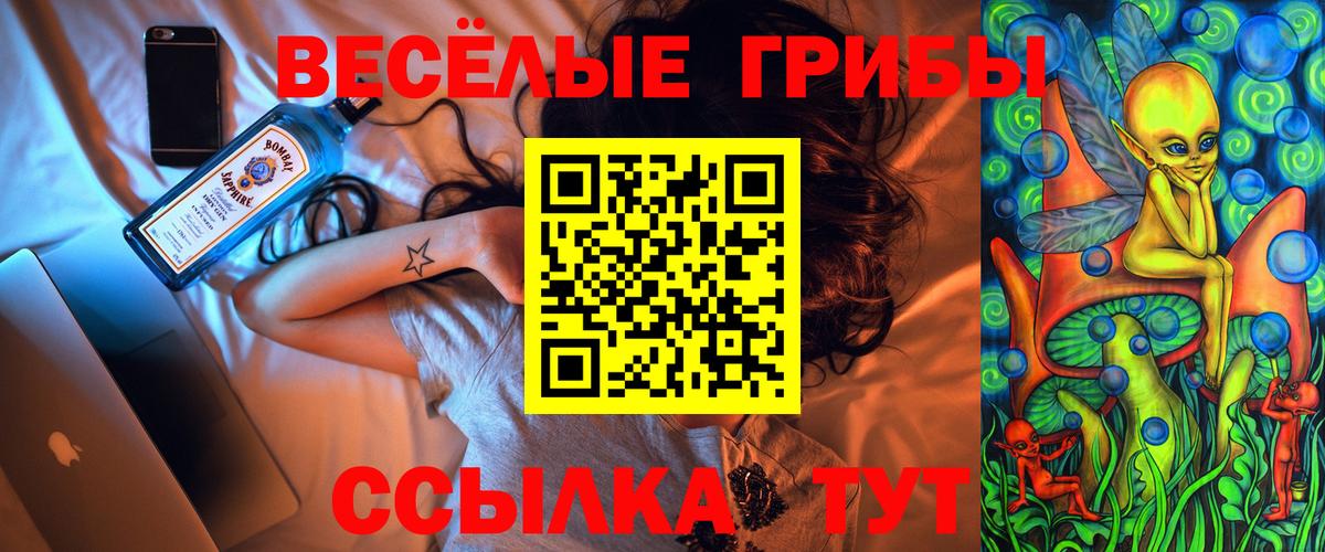 Псилоцибиновые грибы мицелий Лениногорск